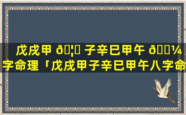 戊戌甲 🦁 子辛巳甲午 🐼 八字命理「戊戌甲子辛巳甲午八字命理解析」